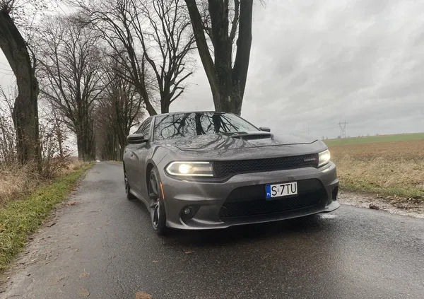 śląskie Dodge Charger cena 115500 przebieg: 118000, rok produkcji 2019 z Mieszkowice